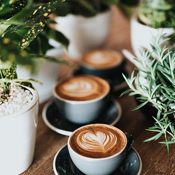 A Place Where Coffee Meets Perfection